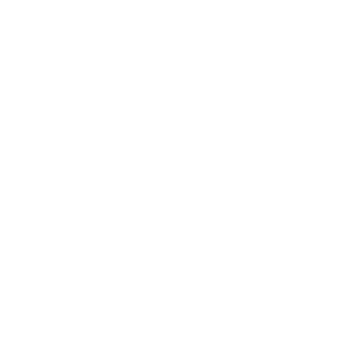 Sea & Sky Surveys